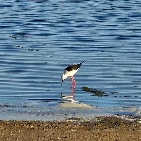 Apartamento Lake & Sea 公寓